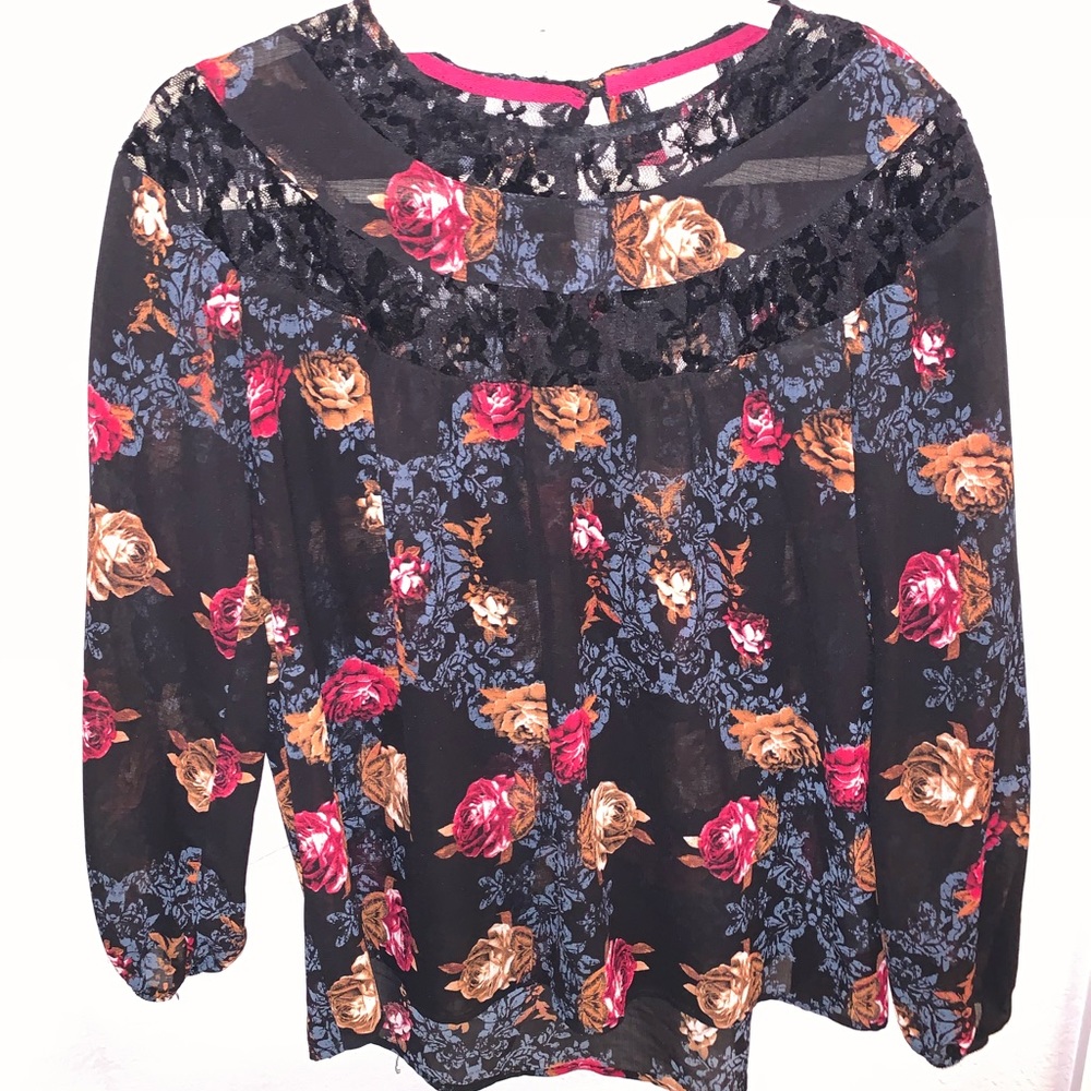 Knox rose sheer blouse with sheer lace neckline